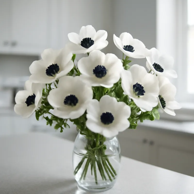 Anemone - klassisch - Bild 3