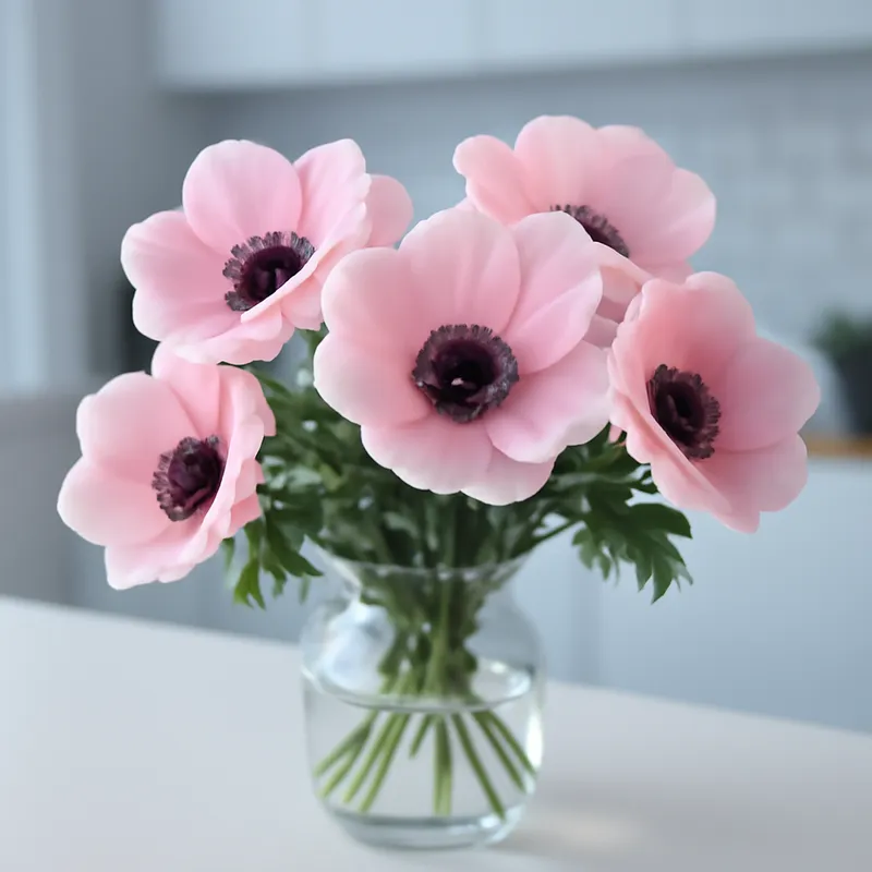 Anemone - rosa - Bild 3