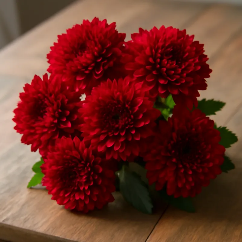 Chrysantheme - rot - Bild 3