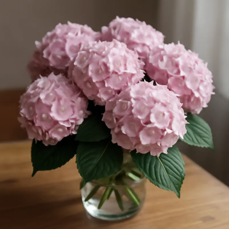 Hortensie - klassisch - Bild 3