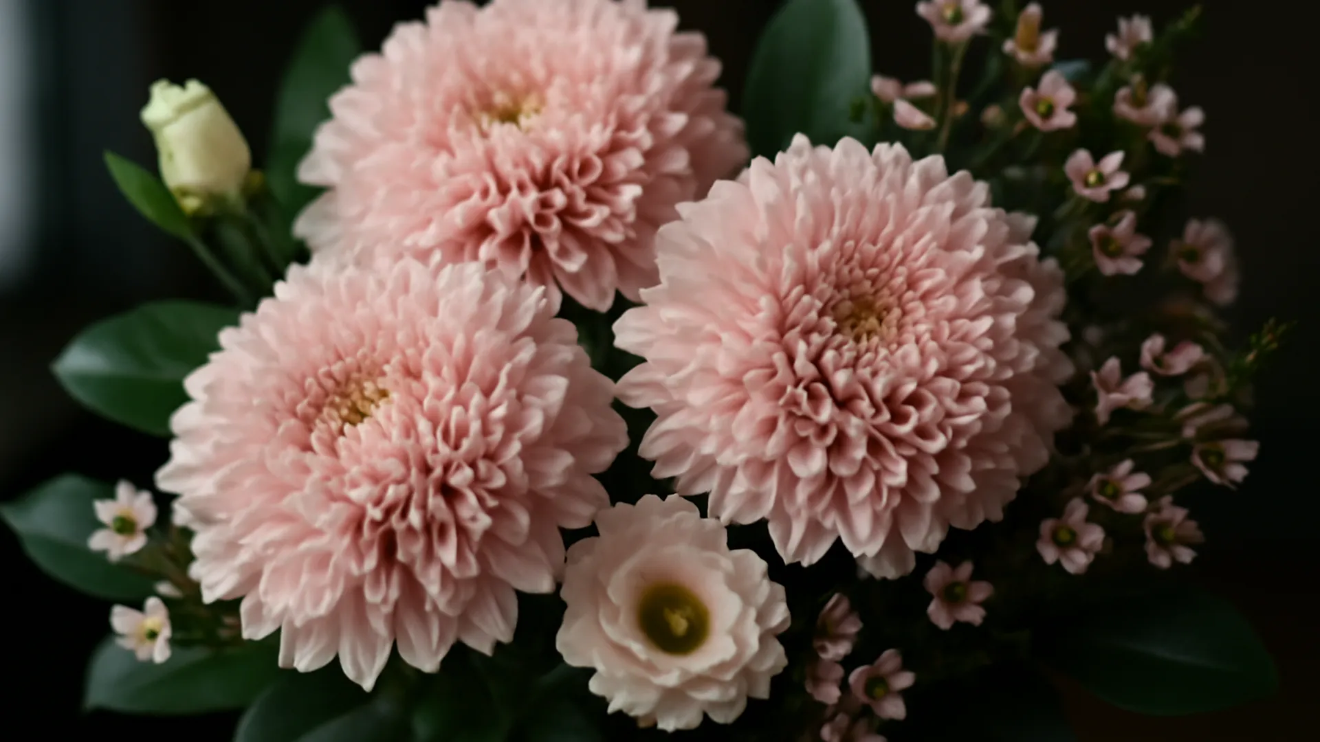 Lang haltende Schnittblumen