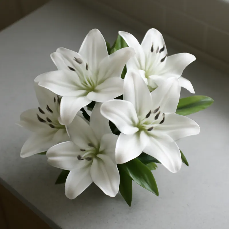 Lilie - weiss - Bild 3