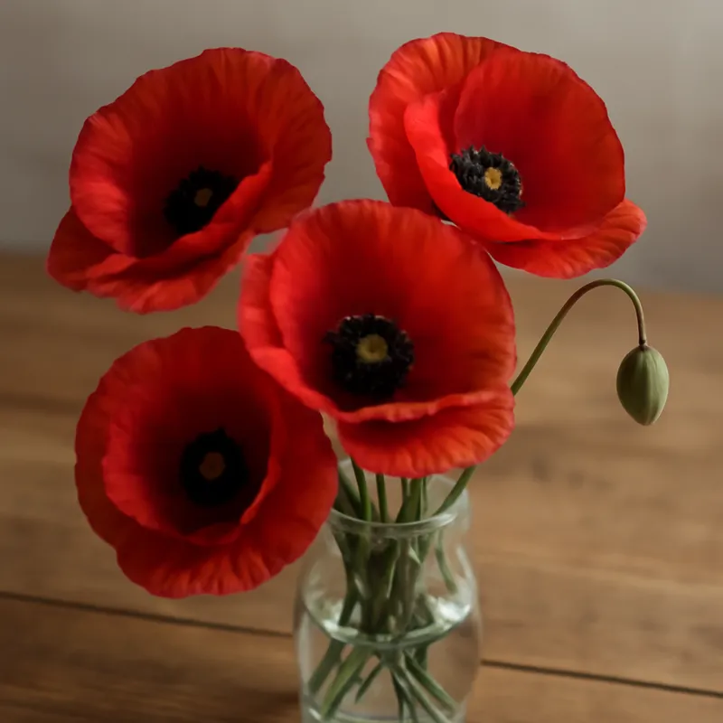 Mohn - klassisch - Bild 3