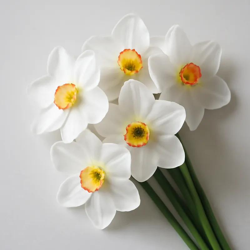 Narzisse - weiss - Bild 3