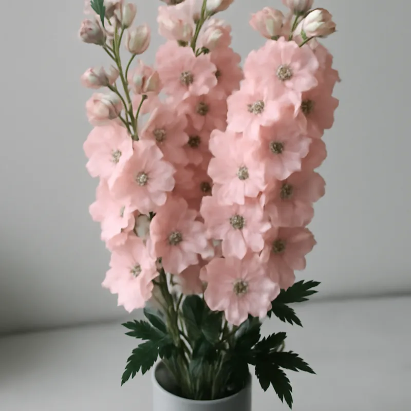 Rittersporn - rosa - Bild 3