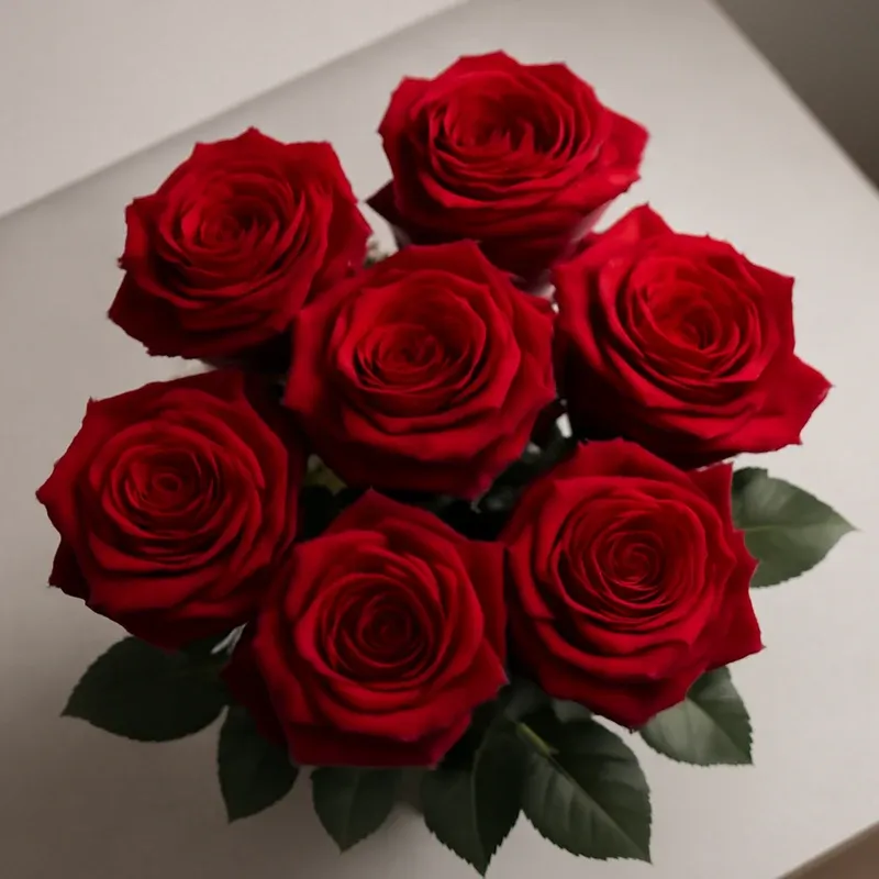 Rose - rot - Bild 3