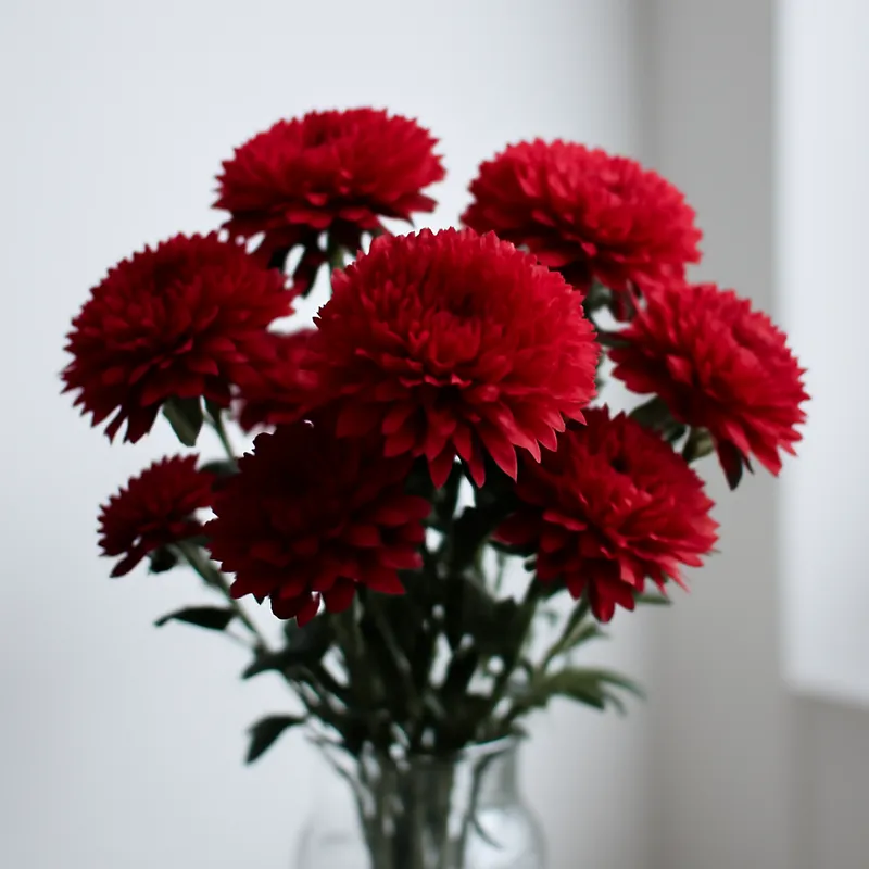 Sommeraster - rot - Bild 3